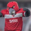 Bolsa de Aposta prepara ações para torcida do CRB na Copa do Brasil